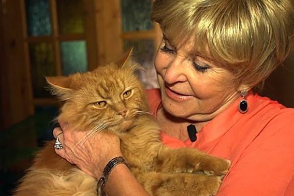 Ангелина Вовк: «В юности мне нравились блатные песни»