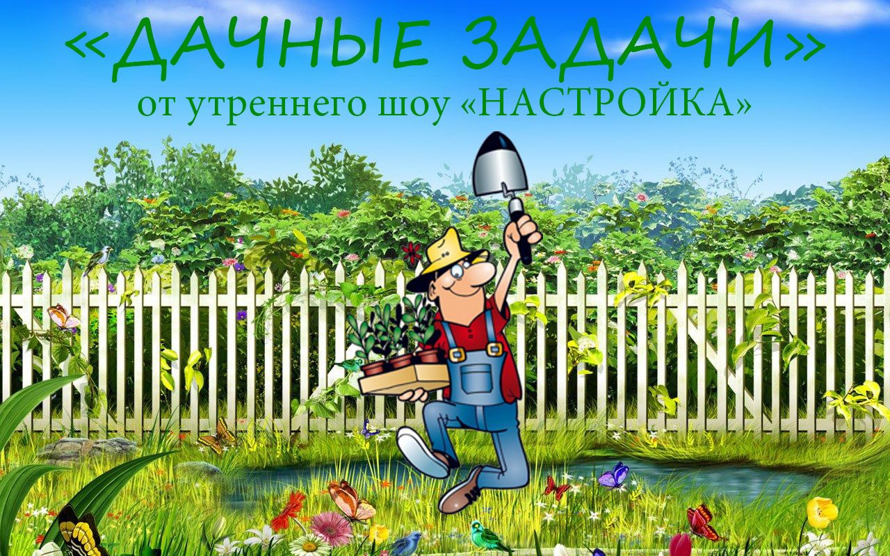 «Дачные задачи» в эфире Радио Шансон