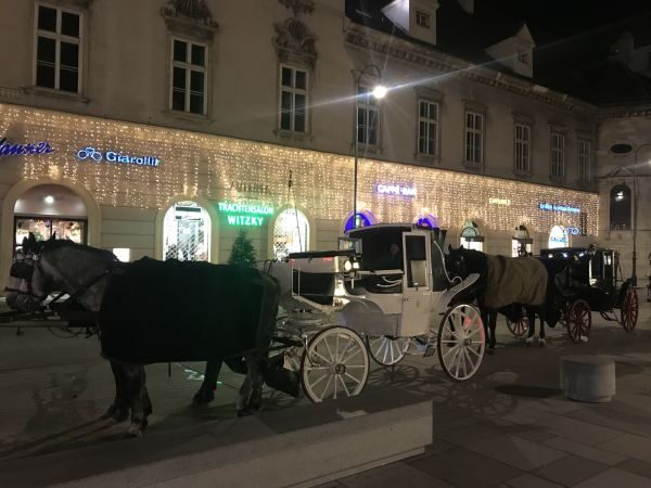 Весь мир с VW Multivan: Рождество в Европе